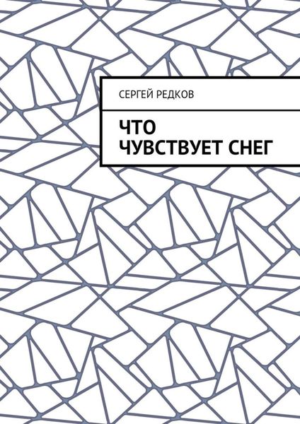 Обложка книги «Что чувствует снег»