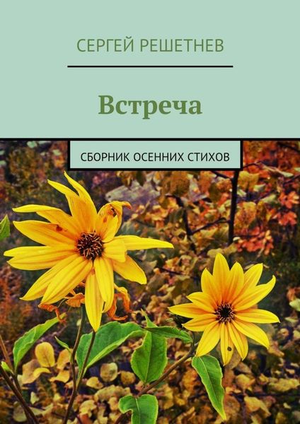 Обложка книги  «Встреча»