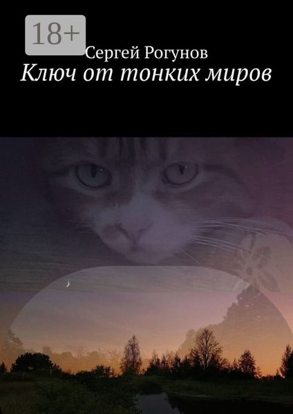Обложка книги  «Ключ от тонких миров»