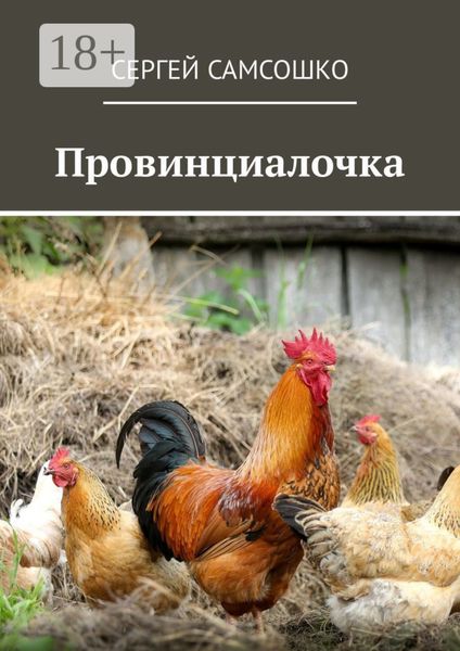 Обложка книги  «Провинциалочка»
