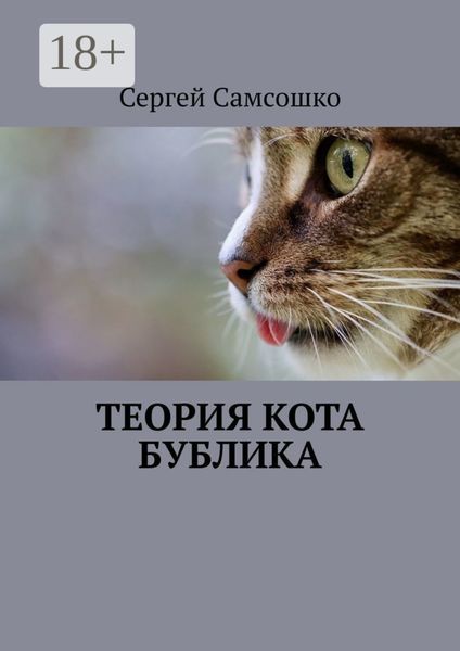 Обложка книги  «Теория кота Бублика»