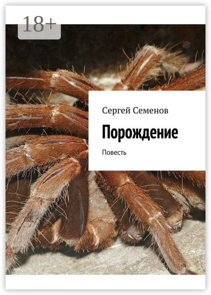 Обложка книги «Порождение. Повесть»