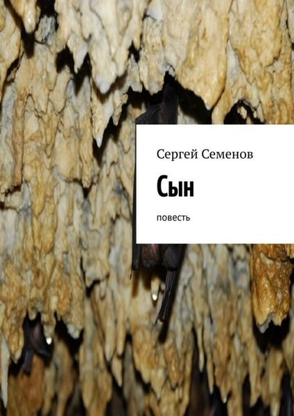 Обложка книги  «Сын. Повесть»