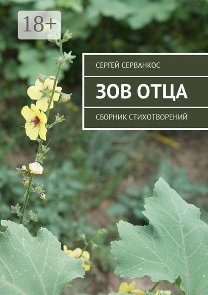 Обложка книги  «Зов Отца. Сборник стихотворений»