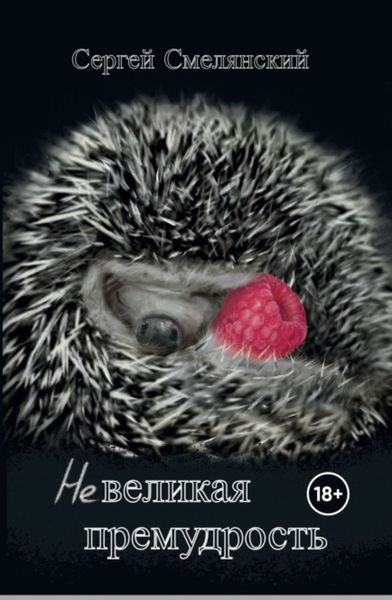 Обложка книги  «Невеликая премудрость»