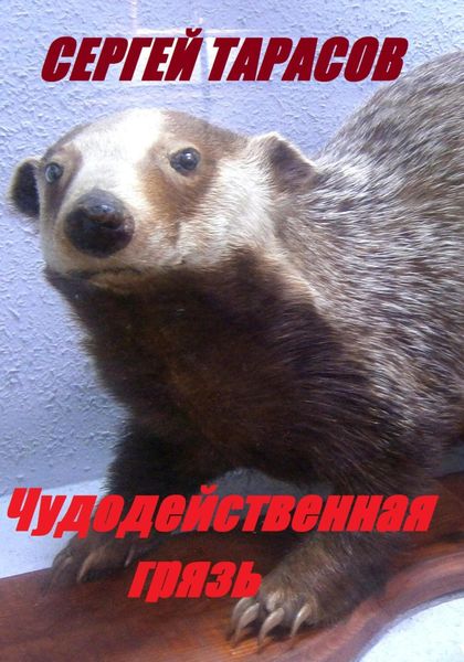 Обложка книги  «Чудодейственная грязь»