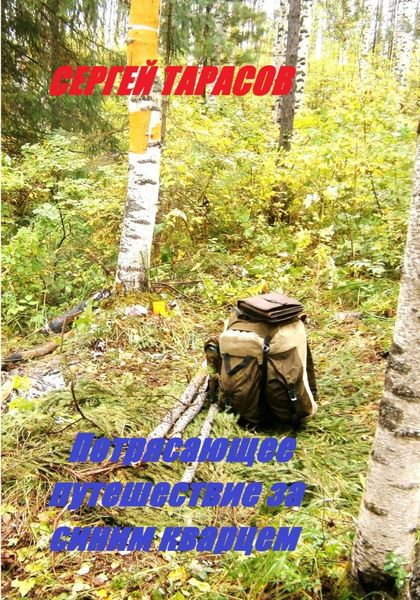 Обложка книги  «Потрясающее путешествие за синим кварцем»
