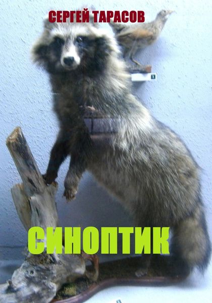 Обложка книги «Синоптик»