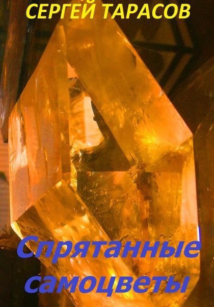 Обложка книги «Спрятанные самоцветы»