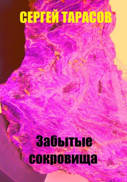 Обложка книги  «Забытые сокровища»