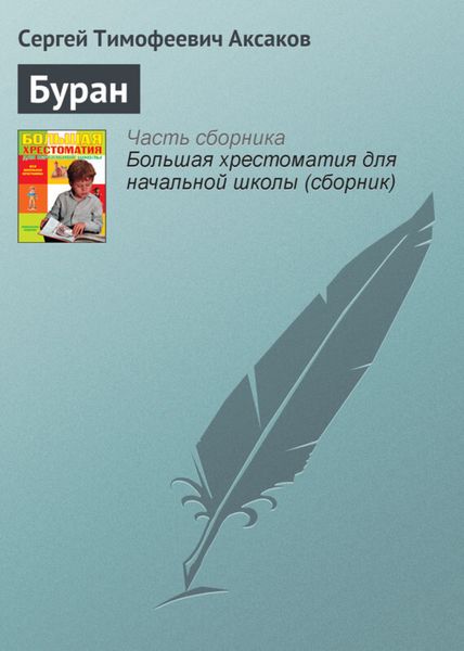 Обложка книги  «Буран»