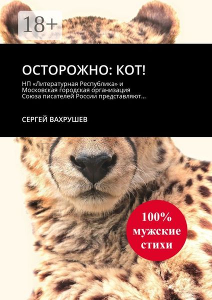 Обложка книги  «Осторожно: кот!»
