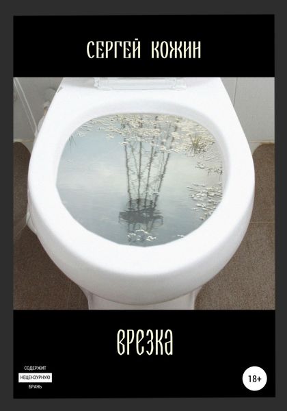 Обложка книги  «Врезка»