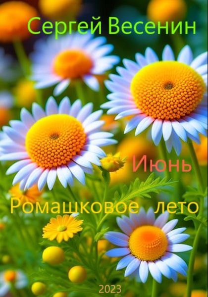 Обложка книги  «Ромашковое лето»