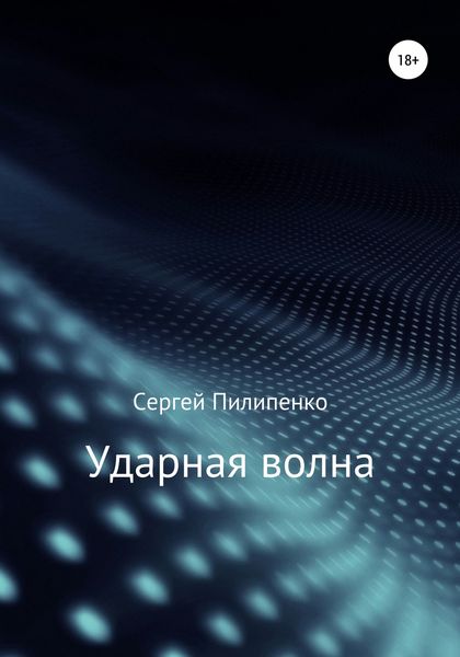 Обложка книги  «Ударная волна»