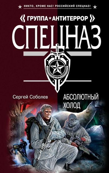 Обложка книги  «Абсолютный холод»