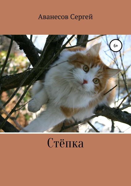 Обложка книги «Степка»