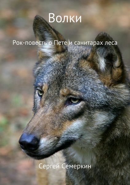 Обложка книги  «Волки»