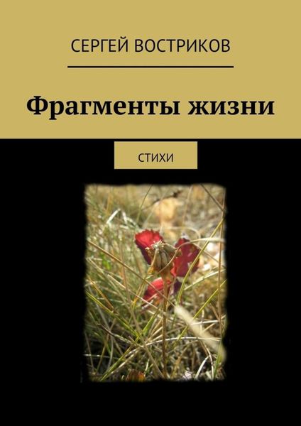 Обложка книги «Фрагменты жизни. стихи»