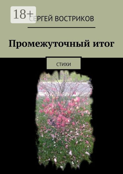 Обложка книги «Промежуточный итог. Стихи»