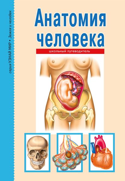 Обложка книги  «Анатомия человека»