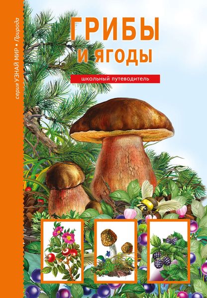 Обложка книги  «Грибы и ягоды»