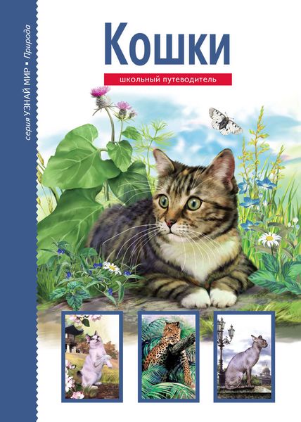 Обложка книги «Кошки»