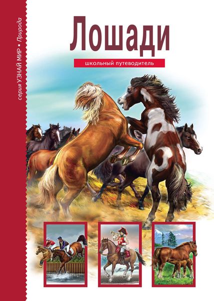 Обложка книги  «Лошади»