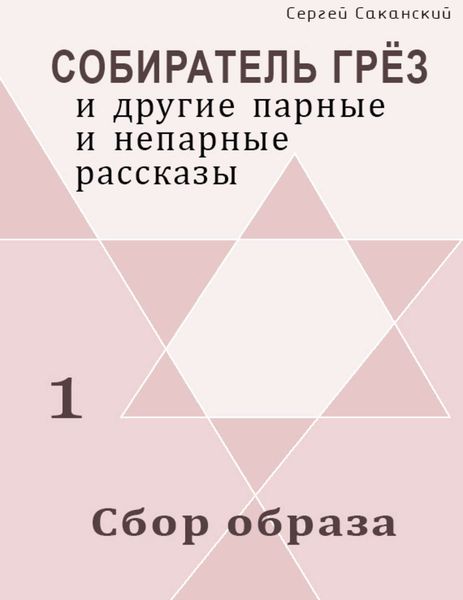 Обложка книги  «Сбор образа»