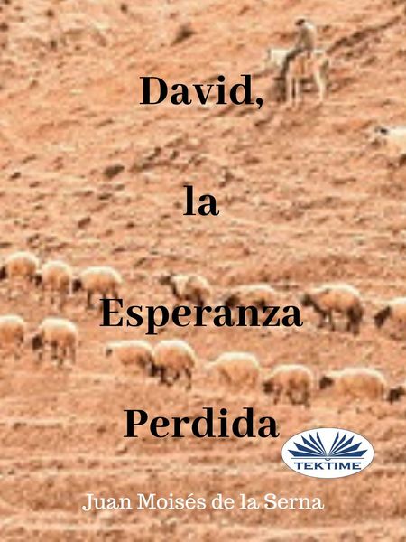 Обложка книги «David, La Esperanza Perdida»
