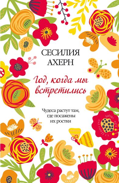 Обложка книги  «Год, когда мы встретились»