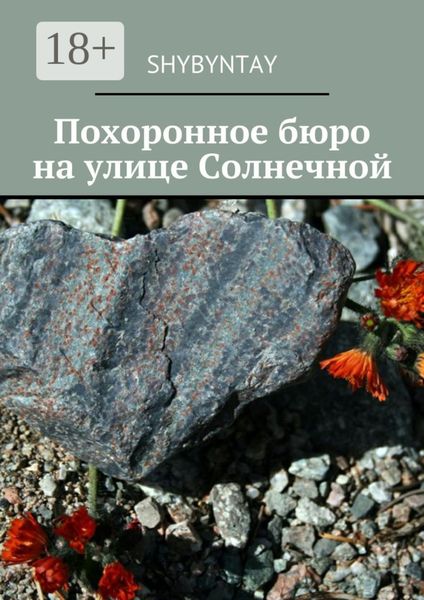 Обложка книги «Похоронное бюро на улице Солнечной»