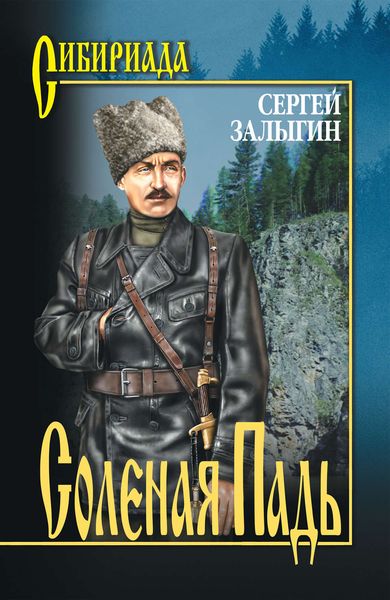 Обложка книги  «Соленая Падь»
