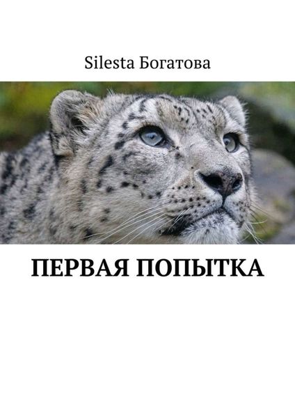 Обложка книги  «Первая попытка»