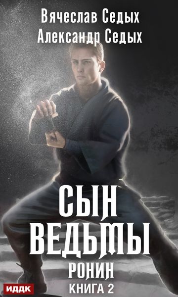 Обложка книги  «Ронин»