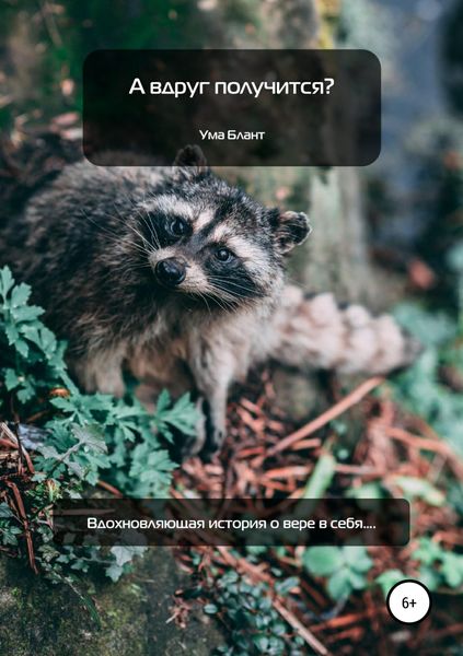 Обложка книги  «А вдруг получится?»
