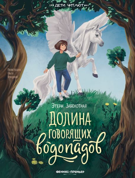 Обложка книги  «Долина говорящих водопадов»