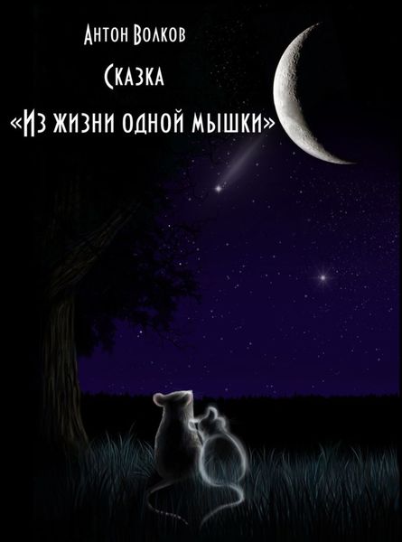 Обложка книги  «Из жизни одной мышки»