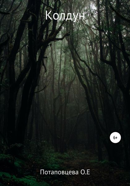 Обложка книги  «Колдун»