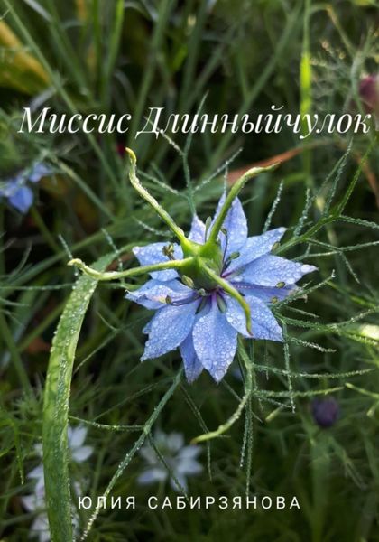 Обложка книги  «Миссис Длинныйчулок»