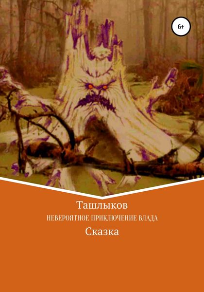 Обложка книги  «Невероятное приключение Влада»