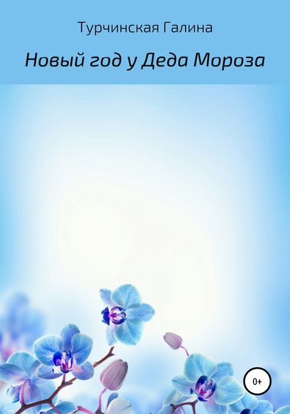 Обложка книги  «Новый год у Деда Мороза»