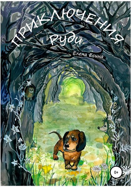 Обложка книги  «Приключения Руди»