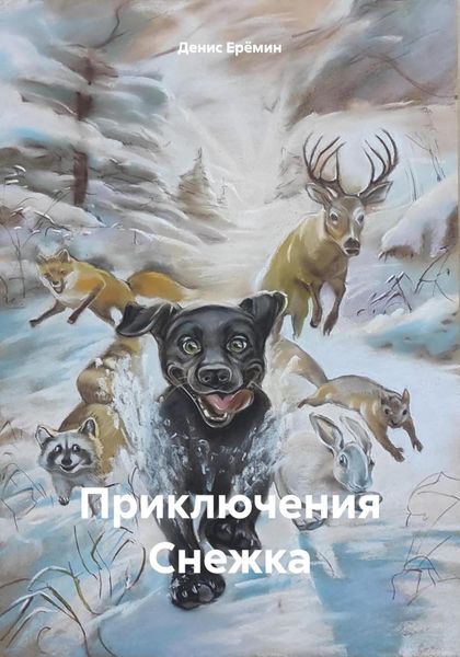 Обложка книги  «Приключения Снежка»