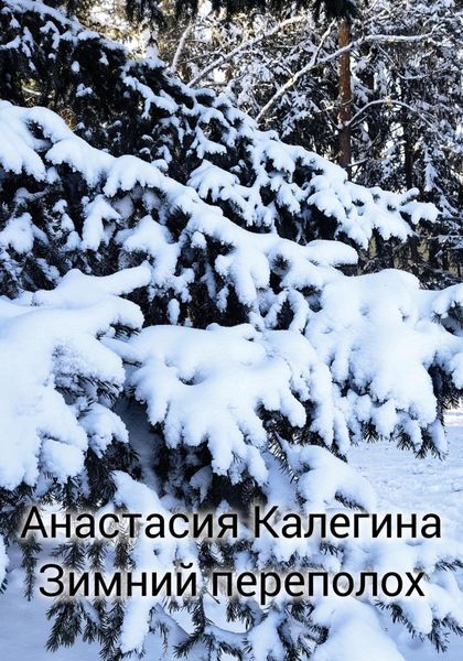 Обложка книги  «Зимний переполох»