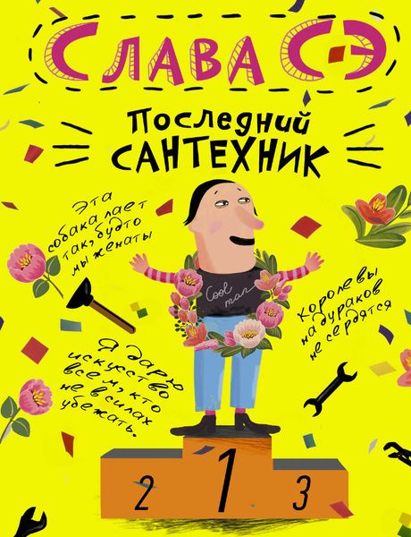 Обложка книги «Последний сантехник»