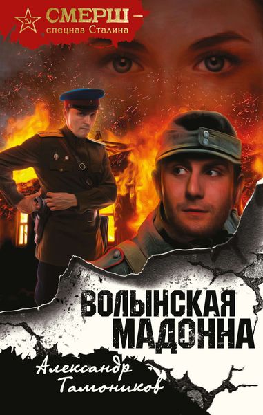 Обложка книги  «Волынская мадонна»