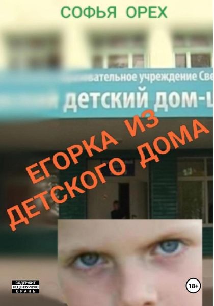 Обложка книги  «Егорка из детского дома»