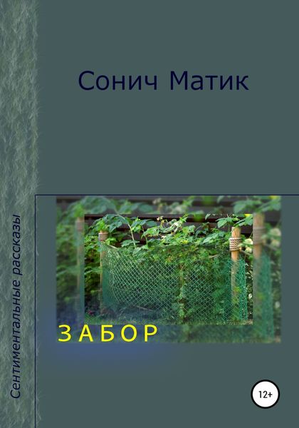Обложка книги «Забор»
