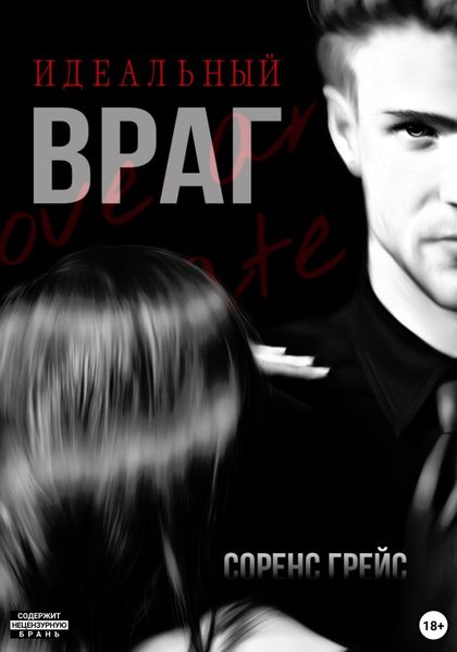 Обложка книги «Идеальный враг»